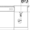BLANCO PLEON 5 (523677)